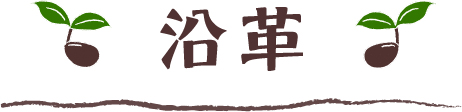 沿革