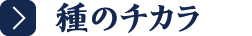 種のチカラ