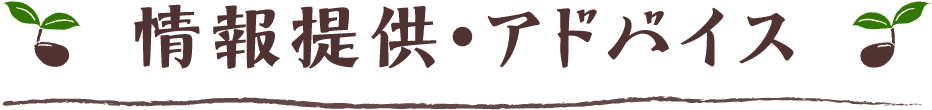 情報提供・アドバイス