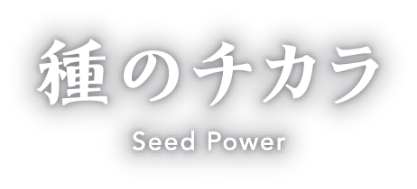 種のチカラ
