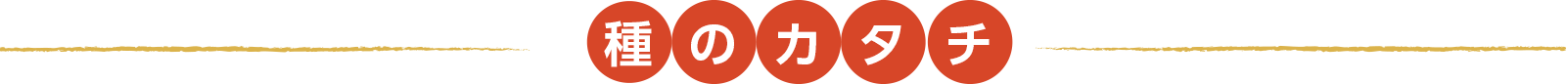種のカタチ