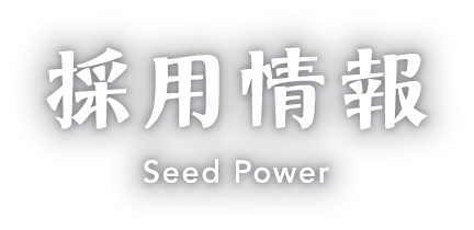 採用情報
