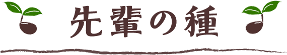 先輩の種