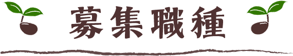 募集職種